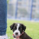 미용사자격증 이미지