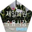 강북화원 이미지