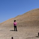 송학동-07 이미지