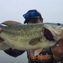 일박이일 A 이미지