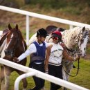 더마파크 이미지