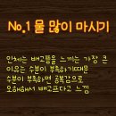 송파 점핑다이어트