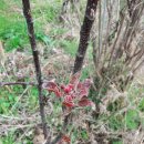 이안농장 이미지