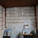 애견동화 이미지