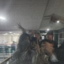 가은동물농장 이미지