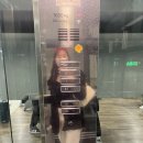 뉴델리 출장 기록-에어인디아 후기, 한국전통문화센터, 레드포트, 타지마할, 엠비언스몰