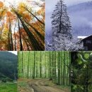 동영개발 이미지