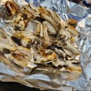 회와 멍게 친구들 이미지