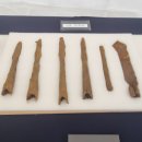 이채경 카카오 검색결과