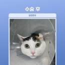 프라임덴탈아이 네이버블로그