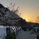 삼육사로49 | 동두천 그림책동화마을품캠핑장 C존 커플 카라반 3번째 재방문하는 후기