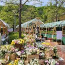 스프링플라워 이미지