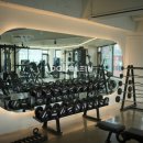 W(더블유) 짐 이미지