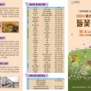 월산면 용구산 들꽃축제 미디어투데이
