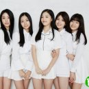 보너스