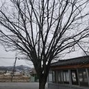 예상마을회관 이미지