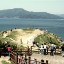 바람의 언덕 이미지