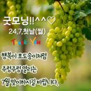 월요일 첫날 날씨가 좋아요~ 이미지