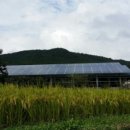 양지 태양광 발전소 이미지