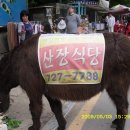 방송에 나온 부산광역시 기장군 이미지