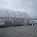 구지동로 이미지