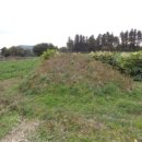 성읍리-1 이미지