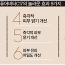C17 이미지