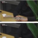 텐프로 이미지