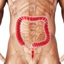 엘바이오 이미지