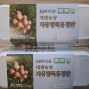 친환경 무항생제 유정란/복순이님 이미지