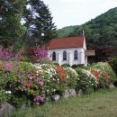 미리내도시락 이미지