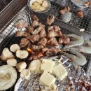 정글바베큐 이미지