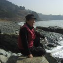 석정활어 이미지