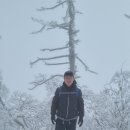 청원카센타 이미지