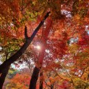 주식회사 용산스퀘어부동산중개법인 이미지