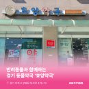 효양약국 이미지