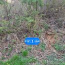 지리산큰나무 | [구례 여행] 지리산정원 '병꽃나무' 숙박 후기! 야경 맛집에서 힐링하고 온 2박 3일 🌲✨