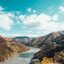 벨로페이퍼 - 18525 | 벨로페이퍼