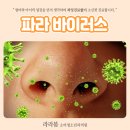 경소아청소년과의원 이미지