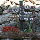 황금마당 이미지