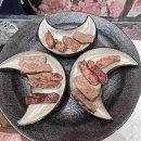 퍼피라운지 이미지