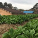 지리산팜스토리
