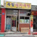 육일돼지국밥 이미지