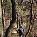 솔마루 작은도서관 | 해파랑길 6코스 - 피톤치드 풍부한 등산코스