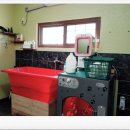 제주헬로우펫 이미지