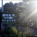 승마공원 이미지