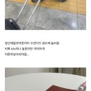 블로그를 낋여오거라