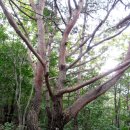 상학농장 | 모악산길 이야기