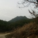 겸면 흥복 이미지