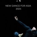 제13회 NDA 국제무용페스티벌 이미지